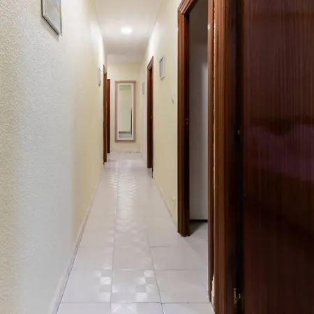 Historico 阿利坎特